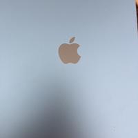 Ipad A16