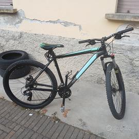 Bicicletta sierra 29