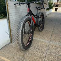 Fat bike