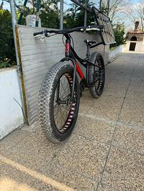 Fat bike