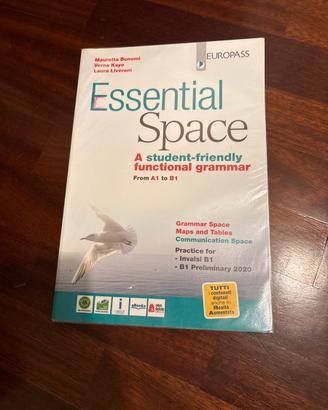 Libro essential space