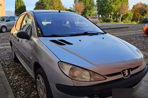 Peugeot 206 - motore da ripristinare 