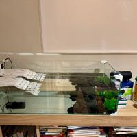 Zolux Karapas Aqua 80 Pro Acquario Tartarughiera