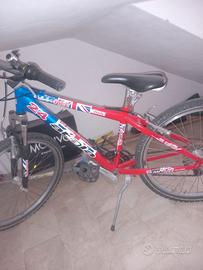 Bici mountainbike 24