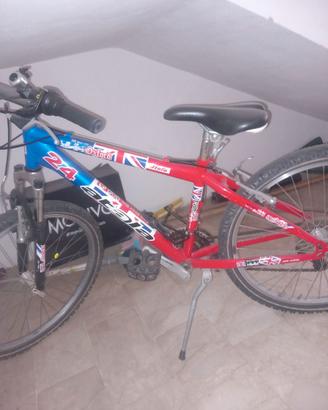 Bici mountainbike 24