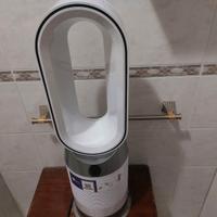 Dyson con 3 mesi di vita