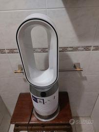 Dyson con 3 mesi di vita