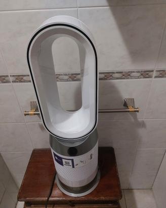 Dyson con 3 mesi di vita