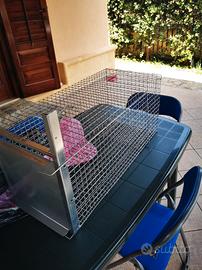 gabbia trappola per gatti - Accessori per animali In vendita a Palermo