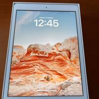 Apple Ipad 7 Generazione 32gb