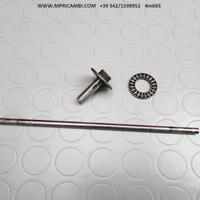 ASTINA SPINGI SUZUKI RM 125 1983 1982 RM125 1981