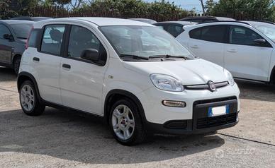 FIAT Panda Hybrid Citylife 1.0cc 70cv