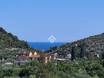 2 LOCALI A DIANO SAN PIETRO