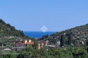 2 LOCALI A DIANO SAN PIETRO