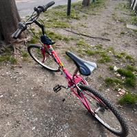 Bici da donna PREZZO TRATTABILE
