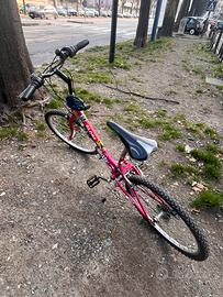 Bici da donna PREZZO TRATTABILE