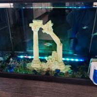 Acquario Newa 30 litri