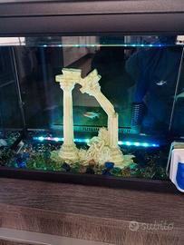 Acquario Newa 30 litri