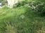 Immagine 10