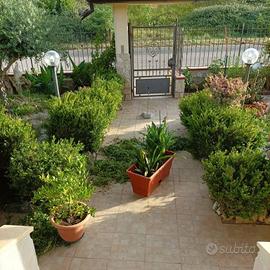 Villa di 300 m² con più di 5 locali e box auto dop