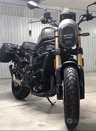 Benelli Leoncino 800 - 2024