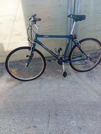 Bicicletta GIANT Upland – modello storico fuori pr