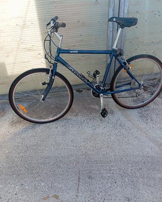 Bicicletta GIANT Upland – modello storico fuori pr