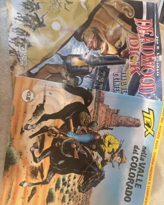 fumetti western