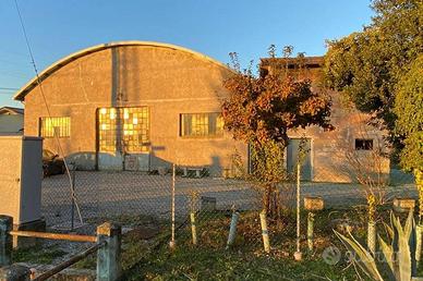 Magazzini ad uso agricolo a San Biagio di Callalta