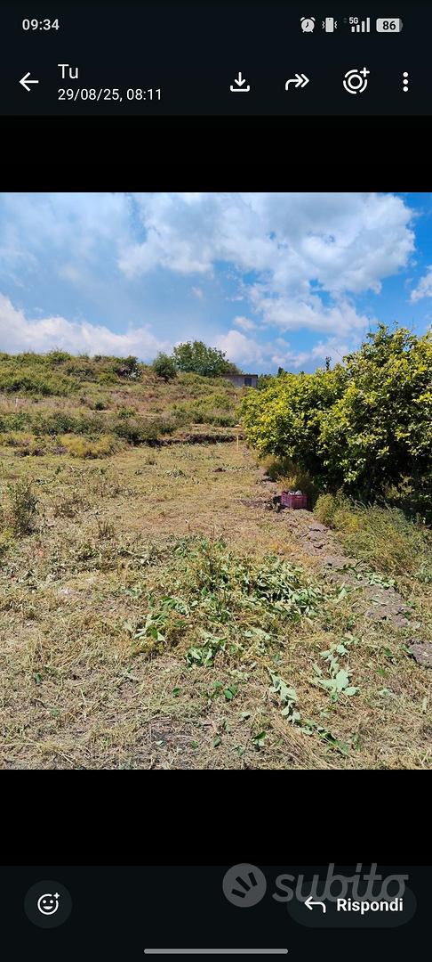 Terreno agricolo di 5050 m² - Vista 3