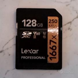 Lexar Professional 1667x Scheda SD 128 GB