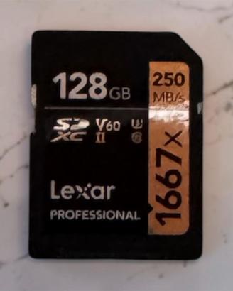 Lexar Professional 1667x Scheda SD 128 GB