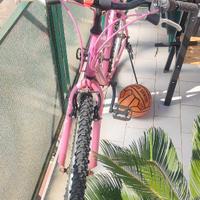 Bici schiano