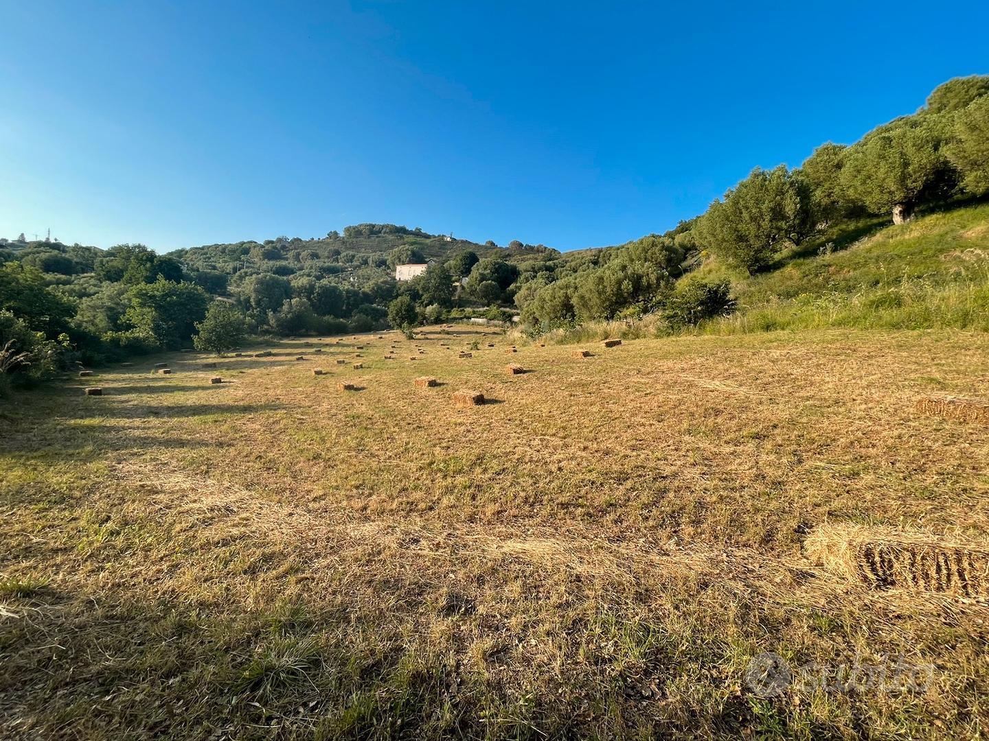 Ampio terreno agricolo-ascea paese - Vista 5