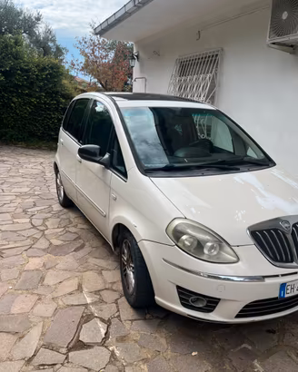 Lancia musa (neopatentati)
