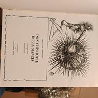 libri  narrativa