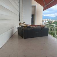 Chiver in argento massiccio Alto Selmer Serie II