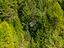 Immagine 13