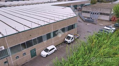 CAPANNONE A VICOPISANO