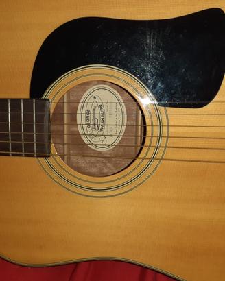 chitarra acustica Washburn
