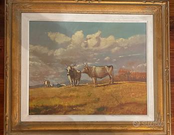 Bovi in Maremma - Giacomo Vaccaro