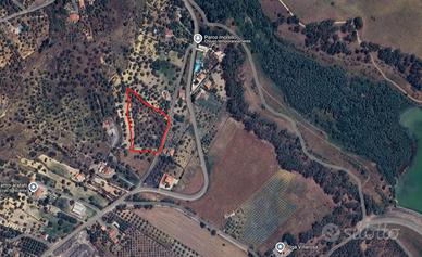 Terreno Uliveto Quattro Aratati Villarosa Enna