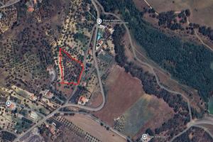 Terreno Uliveto Quattro Aratati Villarosa Enna