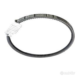 Cinghia alternatore Ape Poker 420 - 288724
