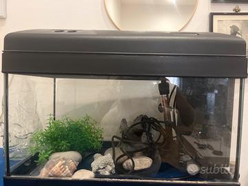 Acquario 40lt