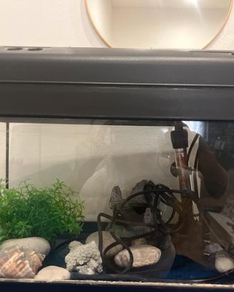 Acquario 40lt
