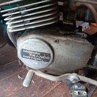  tubone  morini  giuglietta 