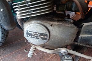  tubone  morini  giuglietta 