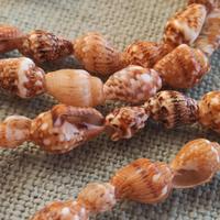 Collana di piccole conchiglie 