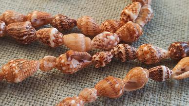 Collana di piccole conchiglie 